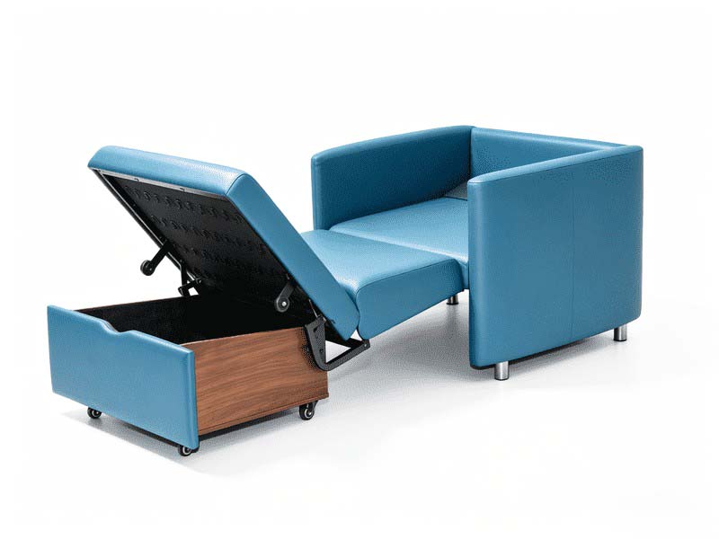 Fitur tempat tidur sofa tarik